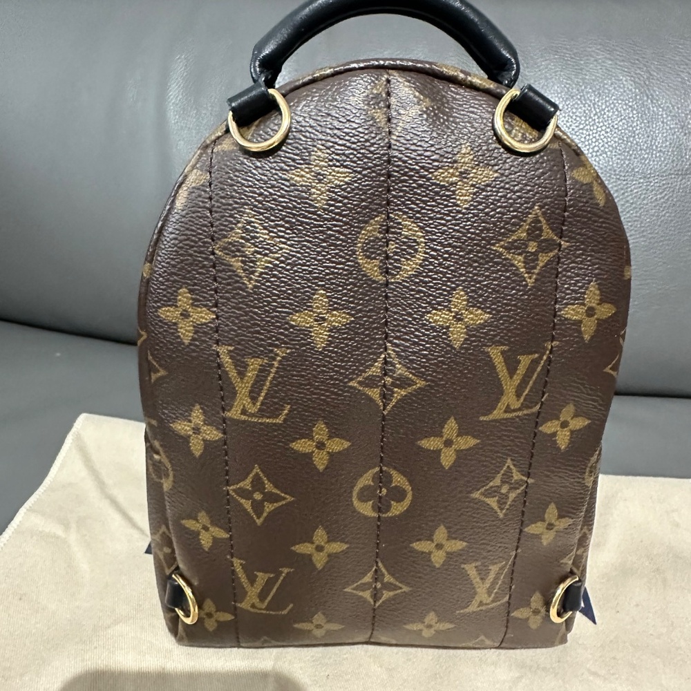 Louis Vuitton Palm Springs  mini - Picture 12 of 16